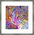 Multicolor Spaghetti String Kitty Framed Print