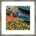 Mums And Gourds Are Everywhere Framed Print