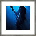 Musician Robert Deleo In Blue Framed Print