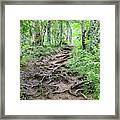 My Smokey Mountain Roots Framed Print