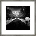 Napa In Autumn Framed Print