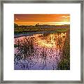Napa Valley At Sunset Framed Print
