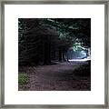 Narrow Path Through Foggy Mysterious Forest Framed Print