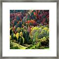 Nature Palette Framed Print