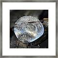 Nature's Crystal Ball Framed Print