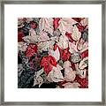 Natures Puzzle Framed Print