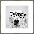 Nerd Dog Framed Print