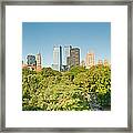 New York Skyline Central Park Framed Print