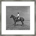 Newmarket Horse Framed Print