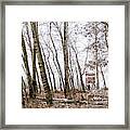 November's Retreat Framed Print