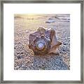 Nuclear Whorl Framed Print