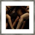 Nude Bodies In Different Skin Colours Framed Print