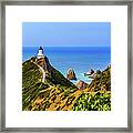 Nugget Point Lighthouse, New Zealand Framed Print