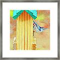 Nuthatch On Bird Feeder Framed Print