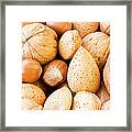 Nutty Galore Framed Print