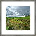 New Zealand Countryside Framed Print