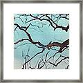 Oak Branches Framed Print