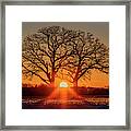 Oakhenge #1 - Ice Coated Twin Oaks And Stubble Field Backlit By Sunset Framed Print