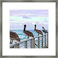 Ocean Watching Framed Print