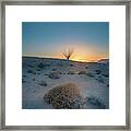 Ocotillo Sunset Framed Print