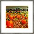 October Harvest Framed Print