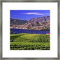 Okanagan Valley Vineyard Framed Print