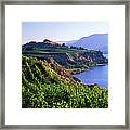 Okanagan Vineyards Winery Scenic Framed Print