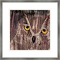 Ol Rainy Day Owl Framed Print