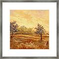 Old Farm House Framed Print