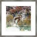 On Frozen Pond Framed Print