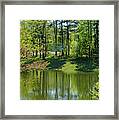 On Golden Pond Framed Print