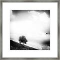 One Swallow Framed Print