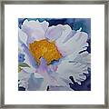 One White Flower Framed Print