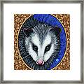 Opossum Portrait - Brown Border Framed Print