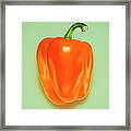 Orange Pepper Framed Print