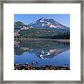 Oregon Deschutes Nf, Extensive Bloom Framed Print