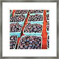 Organic Blueberries Framed Print