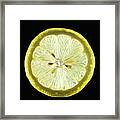 Organic Lemon Framed Print