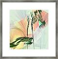 Oriental Melody Framed Print