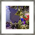 Ornament, Market Square Christmas Tree Framed Print