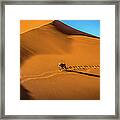 Oryx Crossing Big Daddy Dune, Sossusvlei, Namibia Framed Print