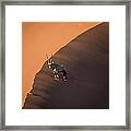 Oryx On The Edge, Namibia Framed Print