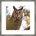 Owl Surprise #1 Framed Print