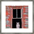 Owl Window Framed Print