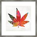 Painted Cannabis Leaf 1- Art By Linda Woods Framed Print