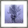 Painted First Snow Framed Print