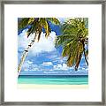 Palm Trees At A Tropical Beach In The Framed Print