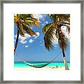 Palm Tress And Hammock At Beach Framed Print