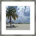 Palmtree And Lounge Chair Framed Print