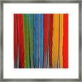 Pan Of 13 Macaw Tail Feathers Framed Print